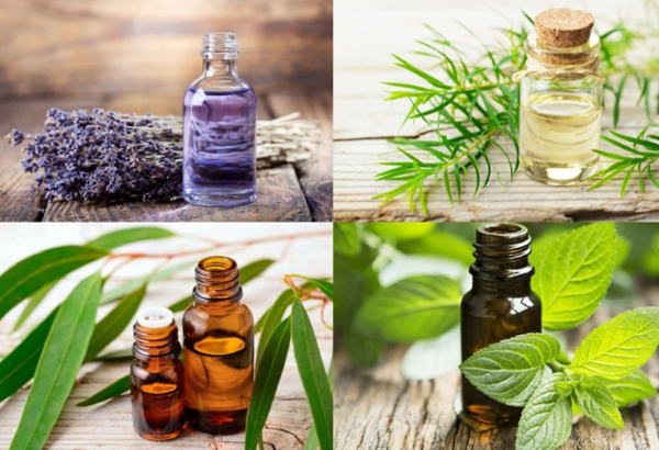 Hương liệu tự nhiên mang lại nhiều lợi ích cho sức khỏe và môi trường