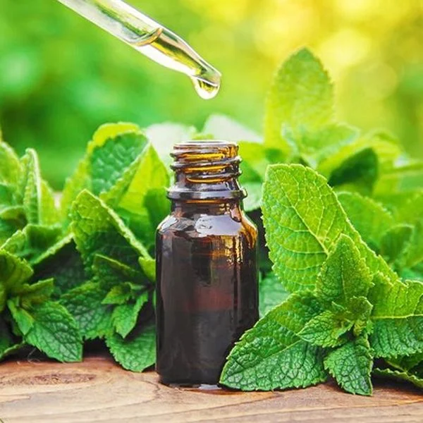 Tinh dầu bạc hà (peppermint oil)