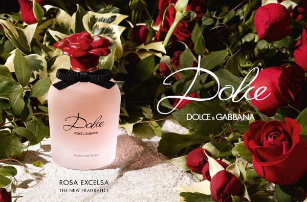 Nước hoa mùi phấn Dolce Gabbana Dolce Rosa Excelsa EDP