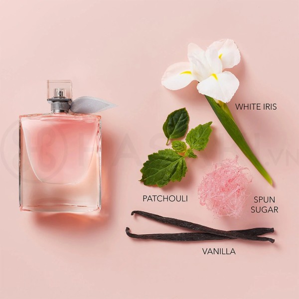 Nước hoa EDP và các nồng độ khác