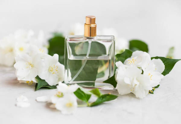 Hướng dẫn chọn nước hoa theo phong cách năng động