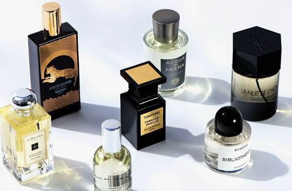Nước hoa niche và designer