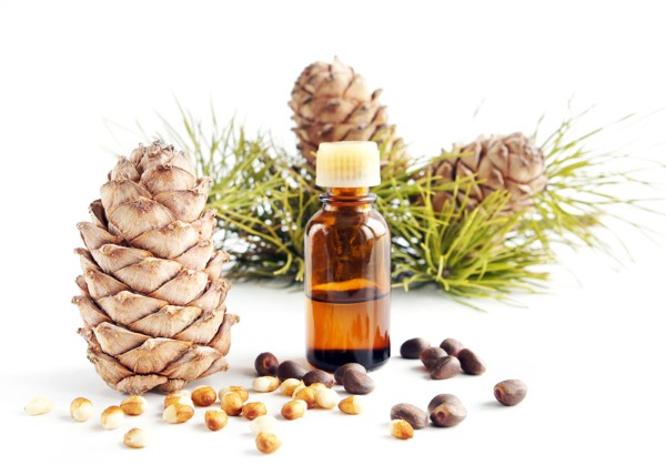 Cedarwood là gì? 