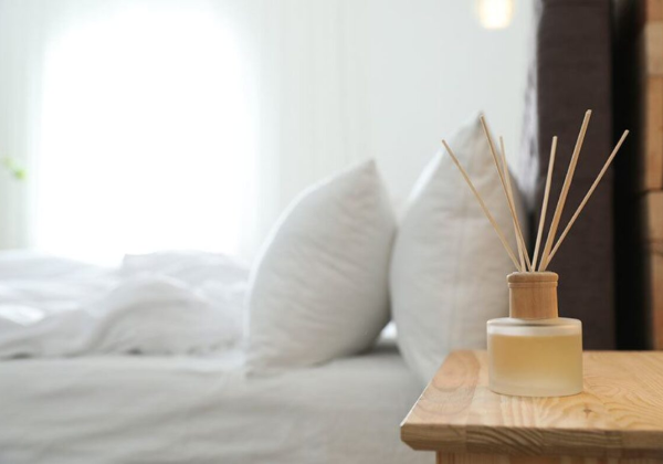 Khử mùi phòng kín bằng nguyên liệu tự nhiên
