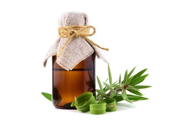 Ứng dụng của Cineol trong đời sống