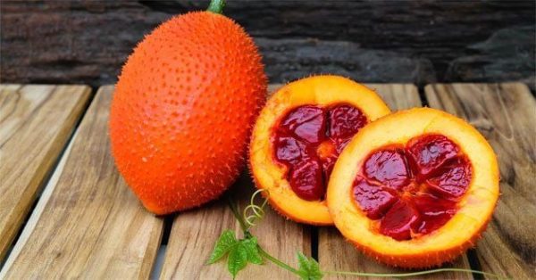 Hướng dẫn cách nấu dầu gấc đơn giản, hiệu quả tại nhà
