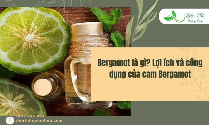 Bergamot là gì? Lợi ích và công dụng của cam Bergamot