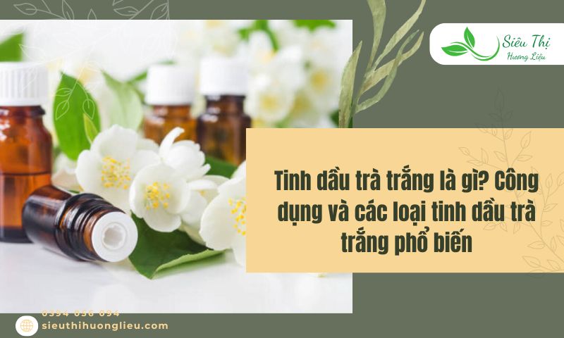 Tinh dầu trà trắng là gì? Công dụng và các loại tinh dầu