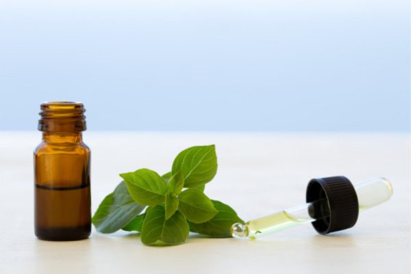 Bảo quản tinh dầu húng quế như thế nào đúng cách?