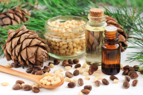 Quy trình chiết xuất tinh dầu Cedarwood