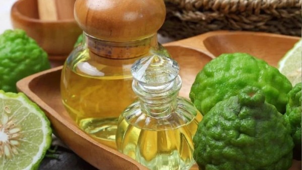 Ứng dụng & công dụng của Bergamot