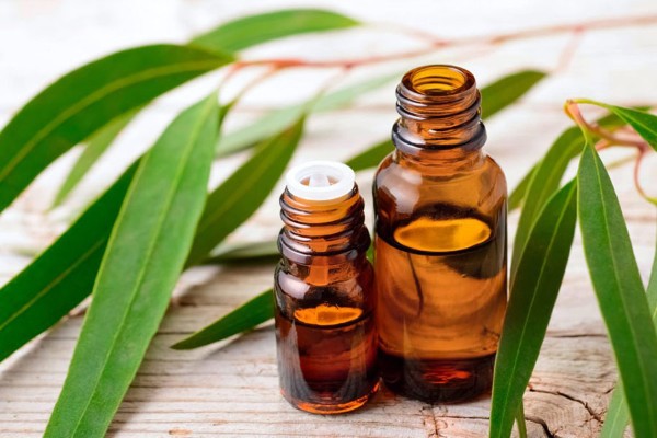 Lưu ý khi sử dụng Cineol