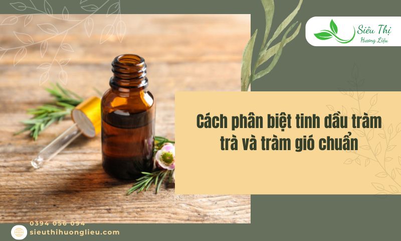 Cách phân biệt tinh dầu tràm trà và tràm gió chuẩn