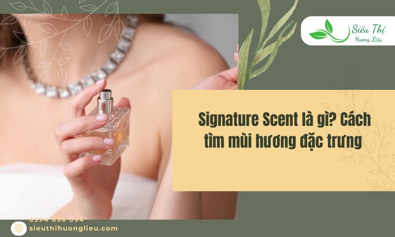 Signature Scent là gì? Cách tìm mùi hương đặc trưng