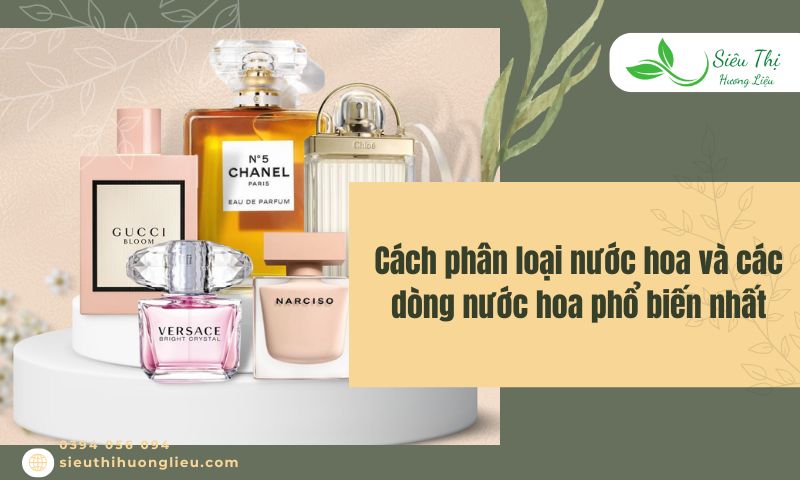 Cách phân loại nước hoa và các dòng nước hoa phổ biến nhất
