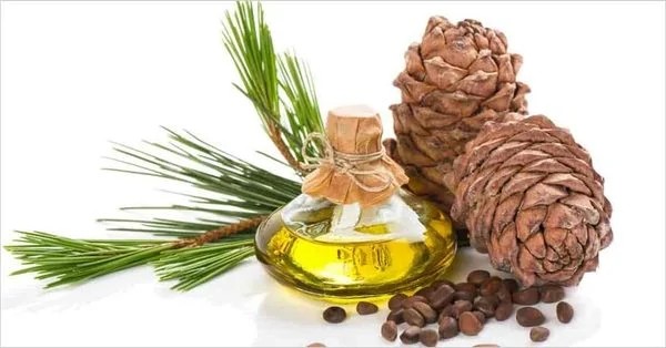 Mẹo sử dụng tinh dầu Cedarwood an toàn và hiệu quả