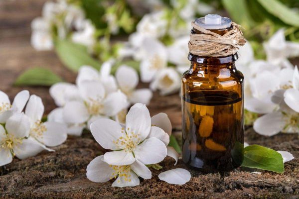 Các phương pháp làm tinh dầu hoa nhài tại nhà