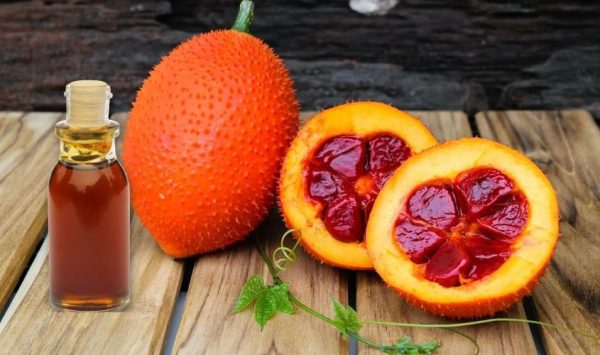 Lưu ý quan trọng khi làm dầu gấc tại nhà là gì?