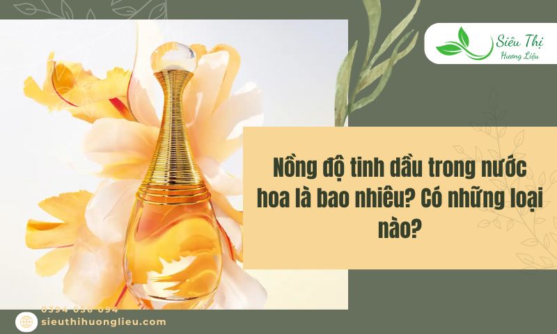 Nồng độ tinh dầu trong nước hoa là bao nhiêu? Có những loại nào?