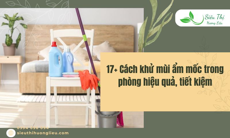 17+ Cách khử mùi ẩm mốc trong phòng hiệu quả, tiết kiệm