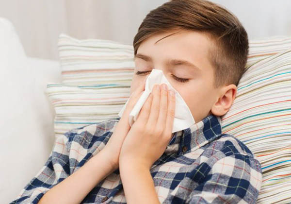 Tác hại của mùi ẩm mốc đối với sức khỏe 