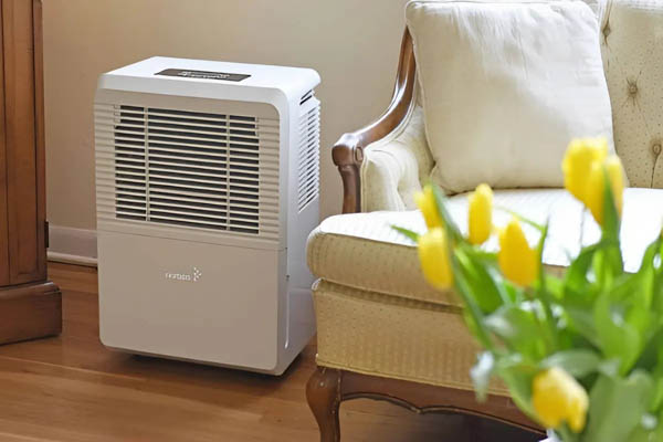 Máy hút ẩm chuyên dụng khử mùi ẩm mốc
