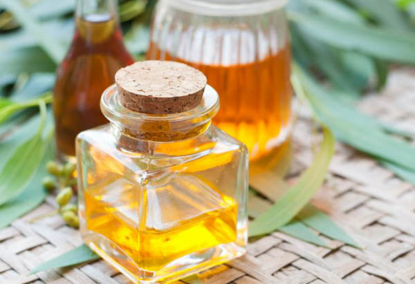 Công dụng của tinh dầu bạch đàn chanh