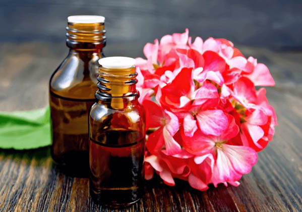 Tổng quan về tinh dầu phong lữ