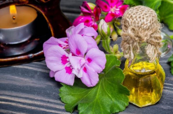 Những lưu ý khi sử dụng tinh dầu phong lữ