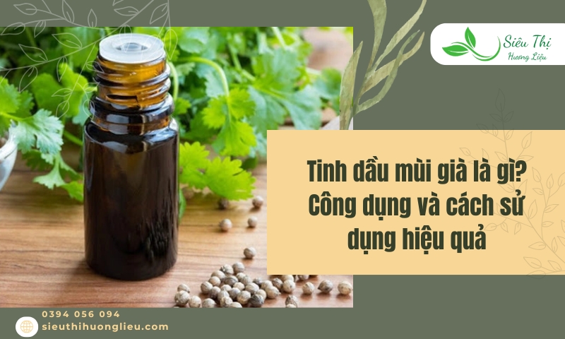 Tinh dầu mùi già là gì? Công dụng và cách sử dụng hiệu quả