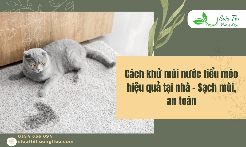 Cách khử mùi nước tiểu mèo hiệu quả tại nhà – Sạch mùi, an toàn