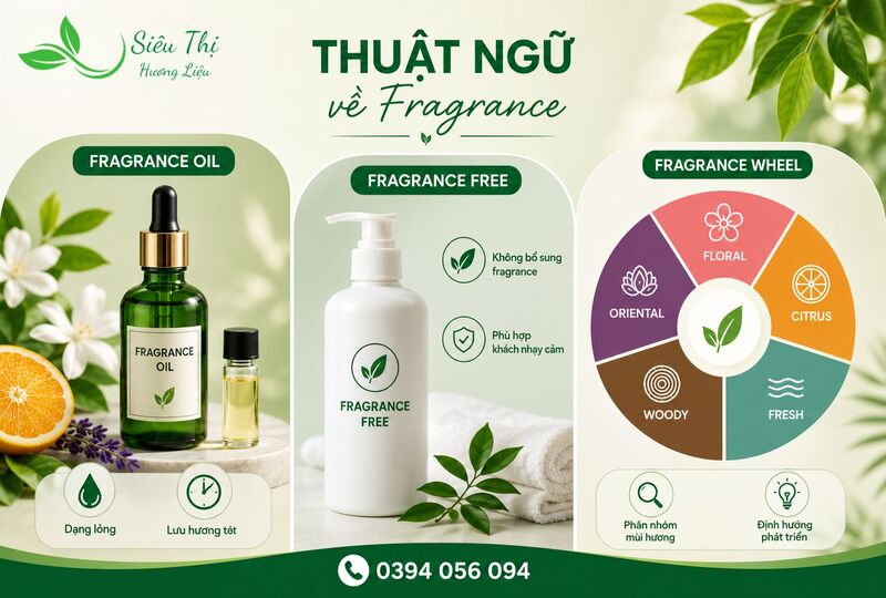 Các thuật ngữ phổ biến liên quan đến fragrance Các thuật ngữ phổ biến liên quan đến fragrance