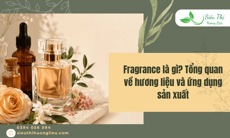 fragrance là gì