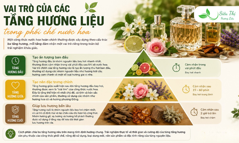 Vai trò của các tầng hương liệu trong phối chế nước hoa Vai trò của các tầng hương liệu trong phối chế nước hoa