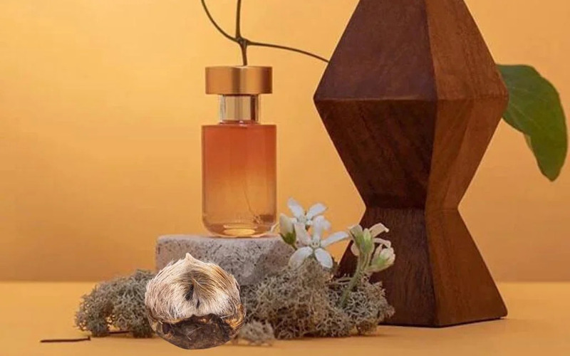 Nhóm xạ hương (Musk) Nhóm xạ hương (Musk)