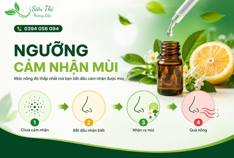 Ngưỡng cảm nhận mùi là gì? Ngưỡng cảm nhận mùi là gì?
