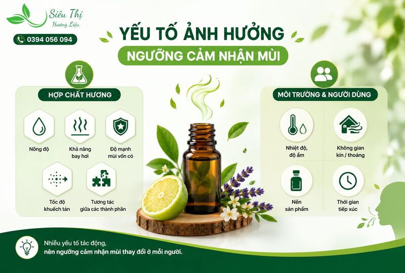 Các yếu tố chính ảnh hưởng đến ngưỡng cảm nhận mùi Các yếu tố chính ảnh hưởng đến ngưỡng cảm nhận mùi