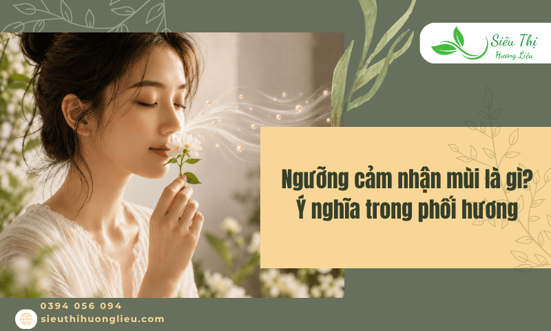 ngưỡng cảm nhận mùi là gì