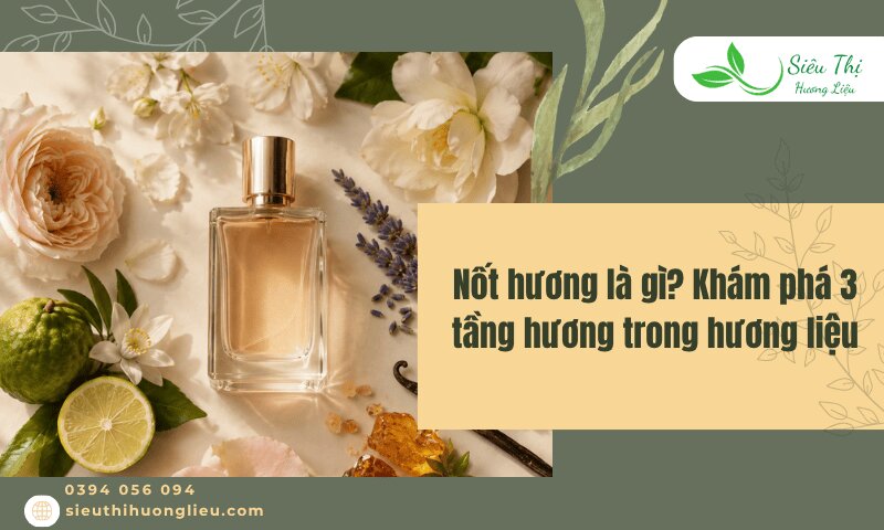 nốt hương là gì