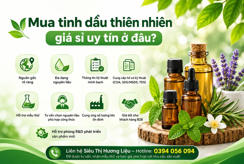 Mua tinh dầu thiên nhiên giá sỉ uy tín ở đâu? Mua tinh dầu thiên nhiên giá sỉ uy tín ở đâu?
