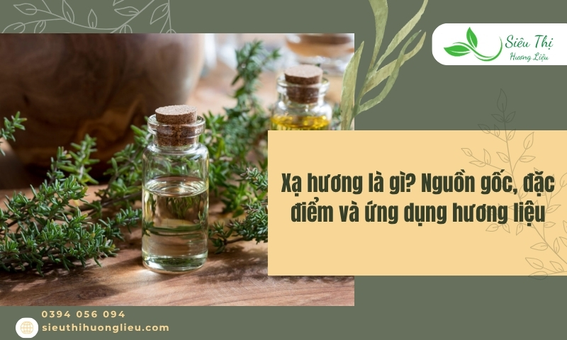 Xạ hương là gì? Nguồn gốc, đặc điểm và ứng dụng hương liệu
