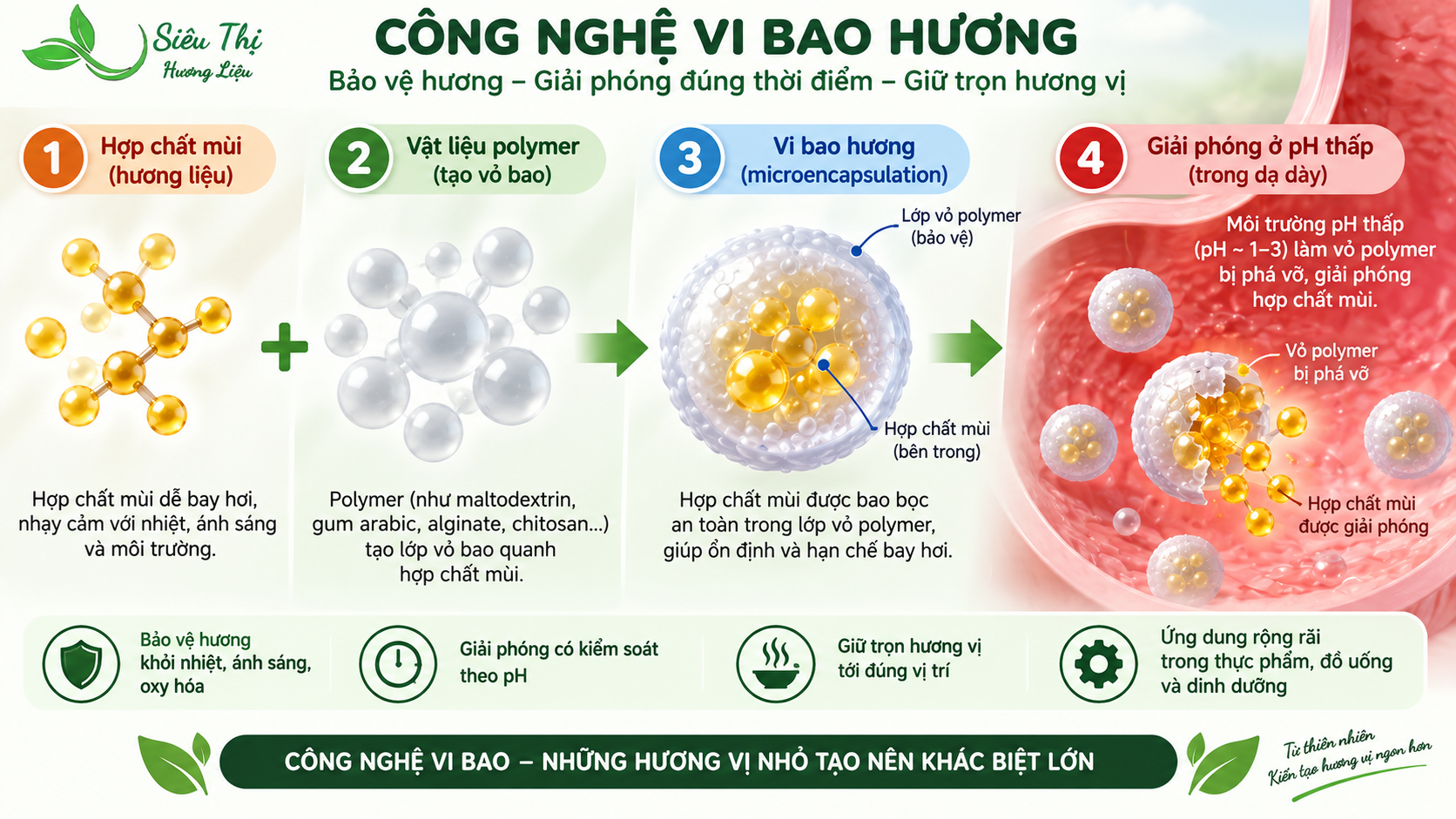 Công nghệ vi bao (microencapsulation) bảo vệ hợp chất mùi protein Minh họa công nghệ vi bao giúp kiểm soát hợp chất gây mùi protein