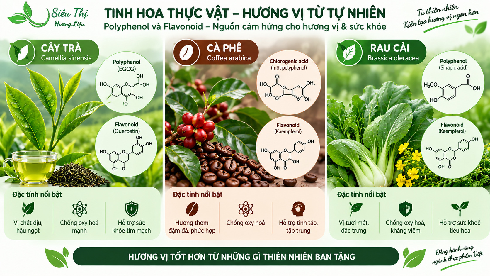 Các nguyên nhân gây vị đắng trong thực phẩm và đồ uống Các nguyên nhân gây vị đắng trong thực phẩm và đồ uống