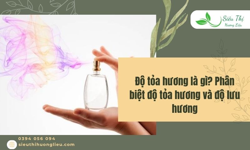 độ tỏa hương là gì