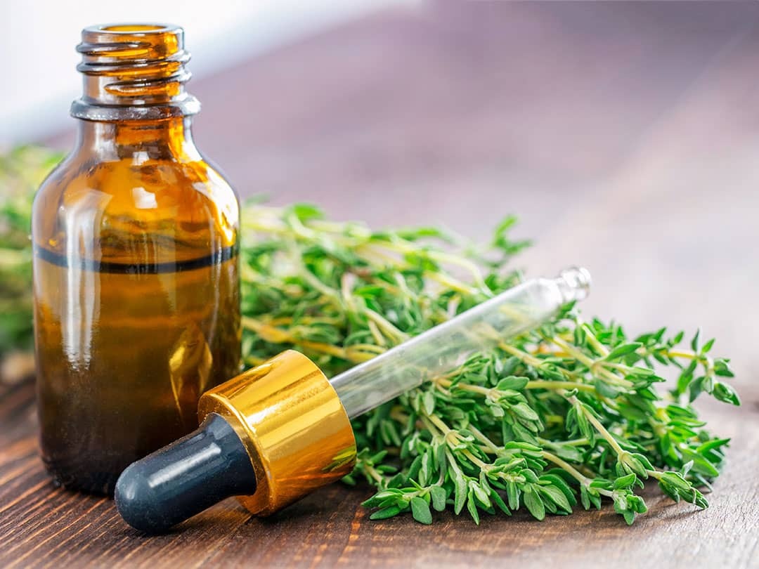 Xạ hương là gì? Nguyên liệu hương liệu dạng cô đặc Xạ hương là gì? Nguyên liệu hương liệu dạng cô đặc